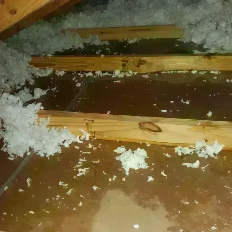 Attic Water Damage in Marlinton, WV